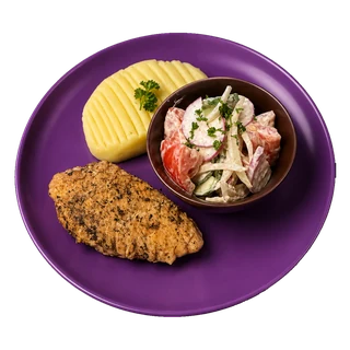Grilled Chicken with Mashed Potato and Salad